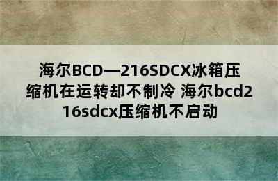 海尔BCD—216SDCX冰箱压缩机在运转却不制冷 海尔bcd216sdcx压缩机不启动